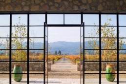 benefits-of-upgrading-to-steel-windows
